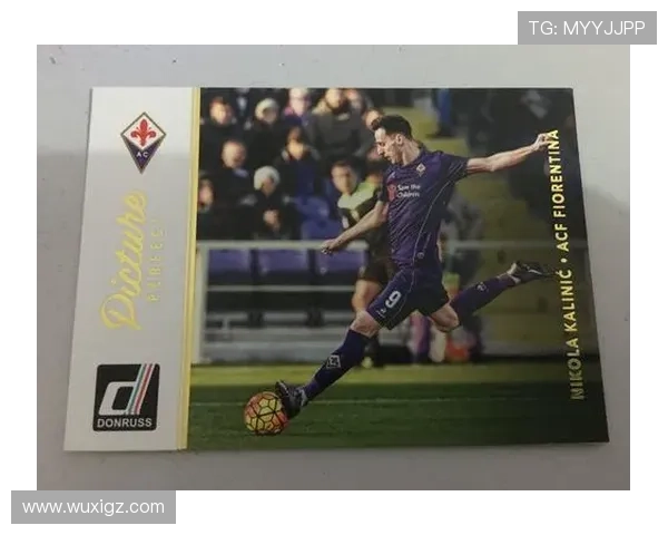 足球帕尼尼球星卡精美大全展示经典卡片与球员风采 足球帕尼尼球星卡精美大全展示经典卡片与球员风采